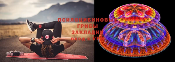 спиды Арсеньев