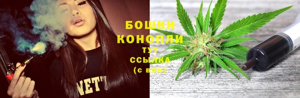 спиды Арсеньев