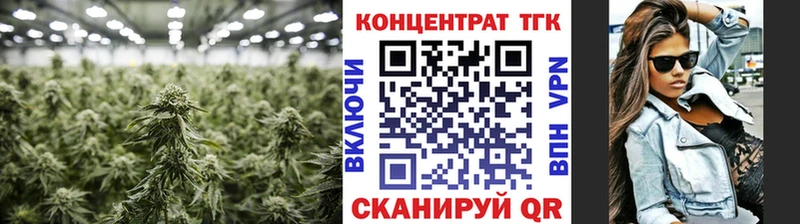 наркотики  Городище  hydra вход  Дистиллят ТГК вейп 