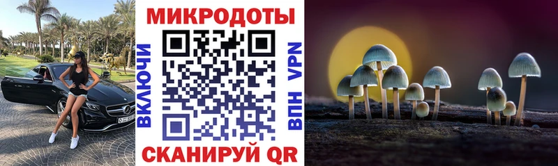 Псилоцибиновые грибы Magic Shrooms  Городище 